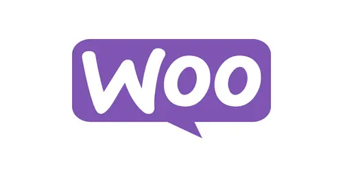 woo caro best seo expert consultant in kochi